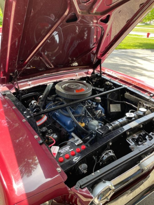 1966 FORD MUSTANG FASTBACK GT V8